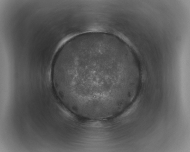 X0000112021222200908101355