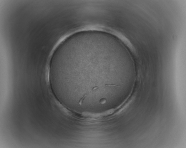 X0000112021224200908101355