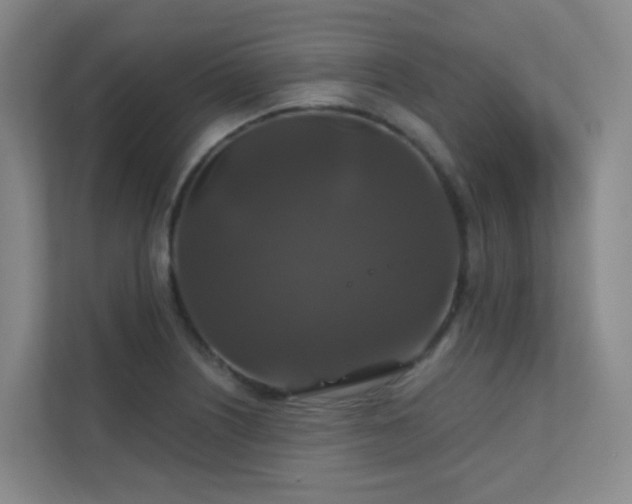 X0000112021226200908101355