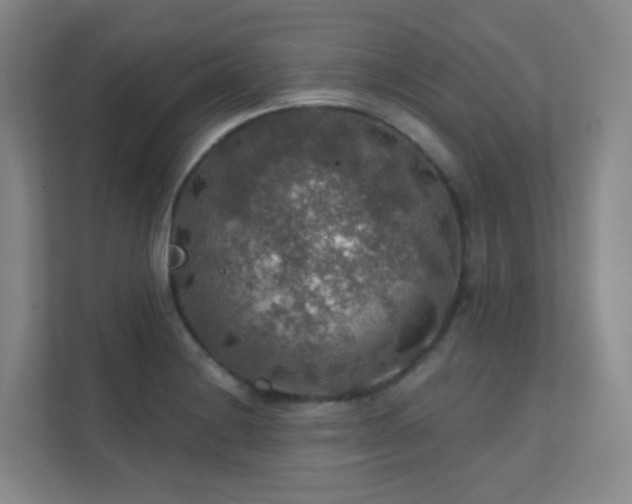 X0000112021228200908101355