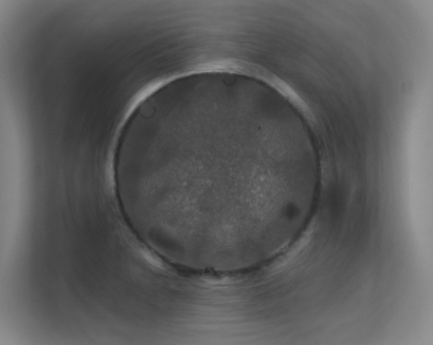 X0000112021230200908101355