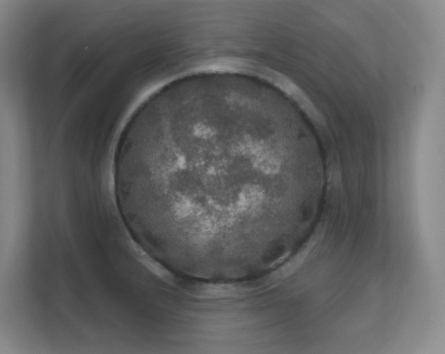 X0000112021232200908101355