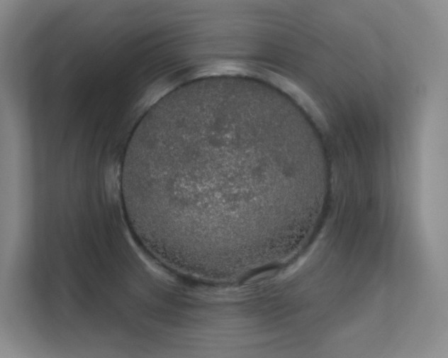 X0000112021233200908101355