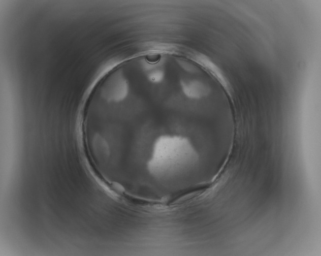 X0000112021235200908101355