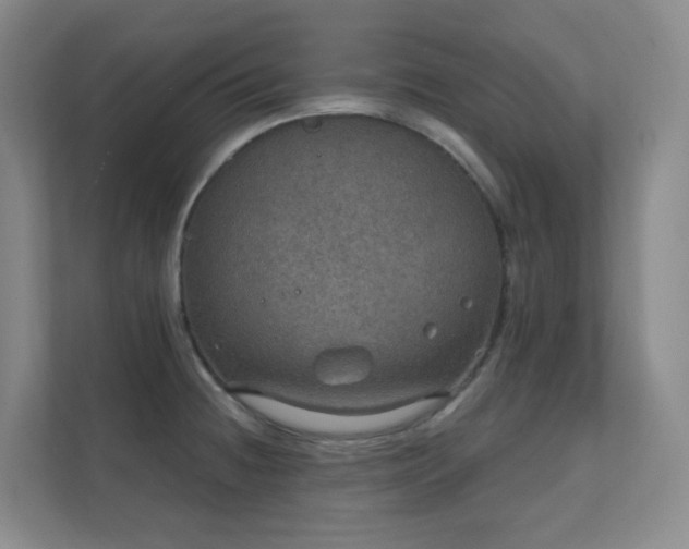 X0000112021236200908101355