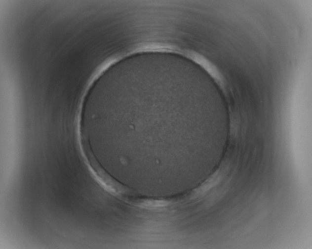 X0000112021237200908101355