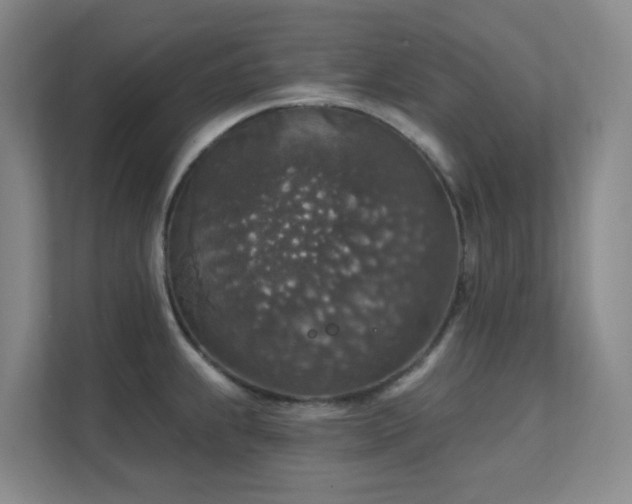 X0000112021239200908101355