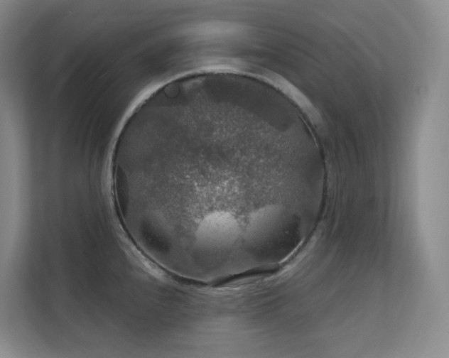 X0000112021240200908101355