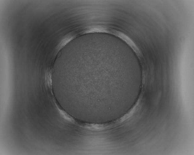 X0000112021241200908101355