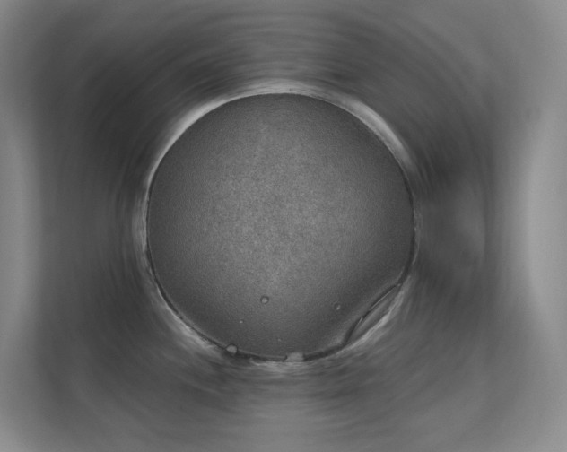 X0000112021244200908101355