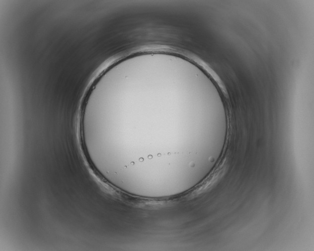 X0000112021245200908101355