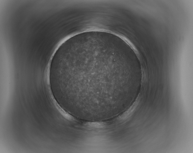 X0000112021246200908101355