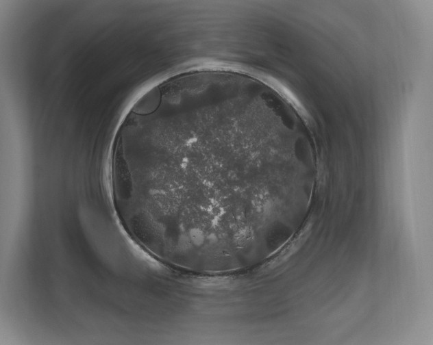 X0000112021247200908101355