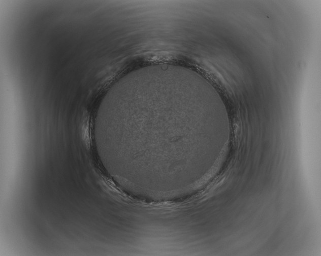 X0000112021250200908101355