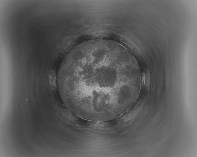 X0000112021251200908101355