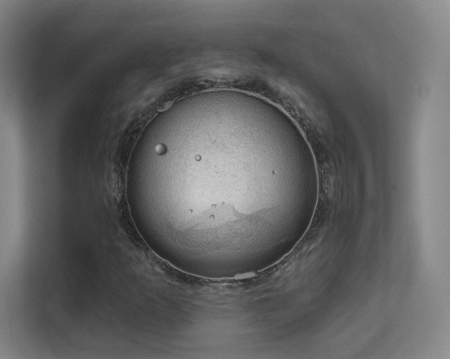 X0000112021253200908101355