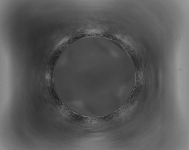 X0000112021254200908101355