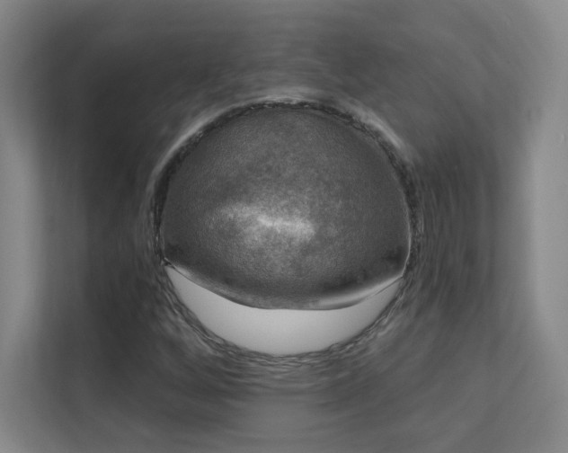 X0000112021256200908101355