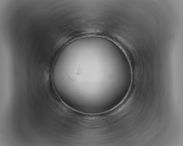 X0000112021257200908101355