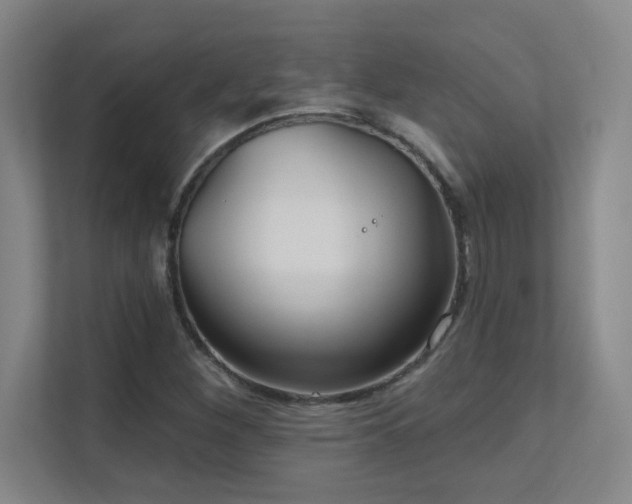 X0000112021260200908101355