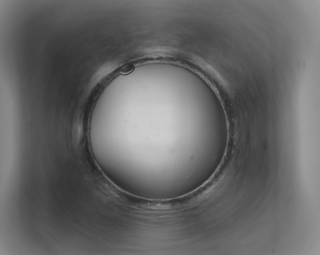 X0000112021261200908101355