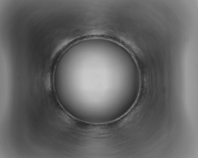 X0000112021262200908101355