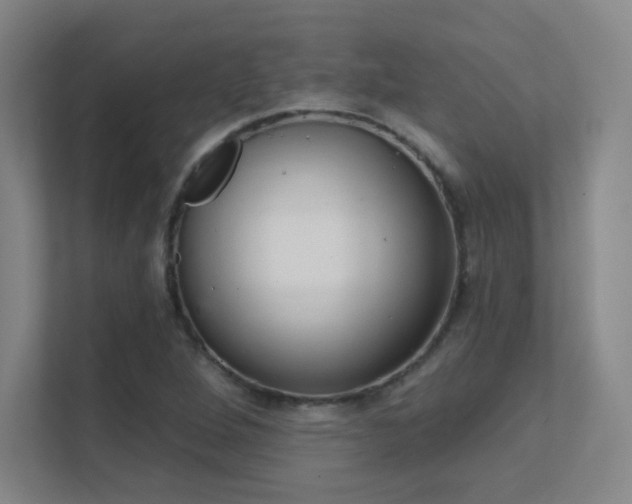 X0000112021264200908101355