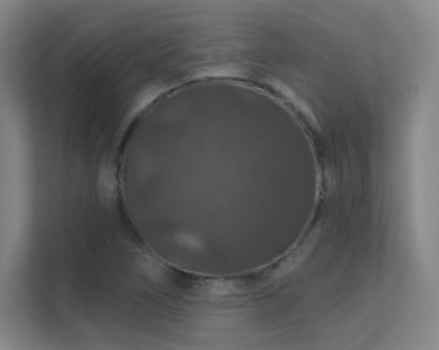 X0000112021266200908101355