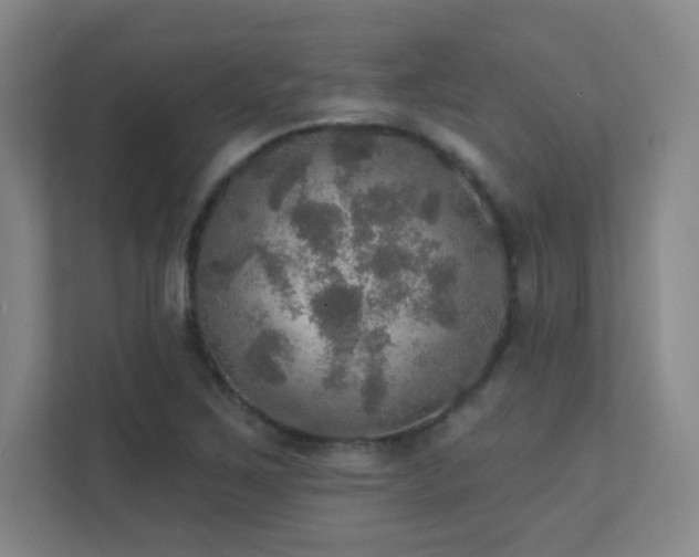 X0000112021267200908101355