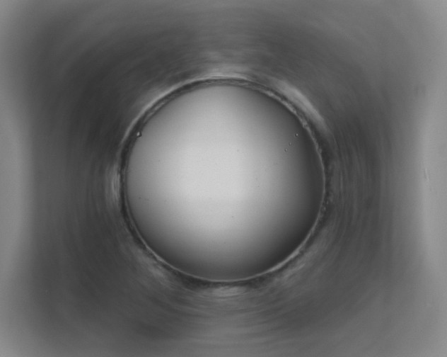 X0000112021268200908101355