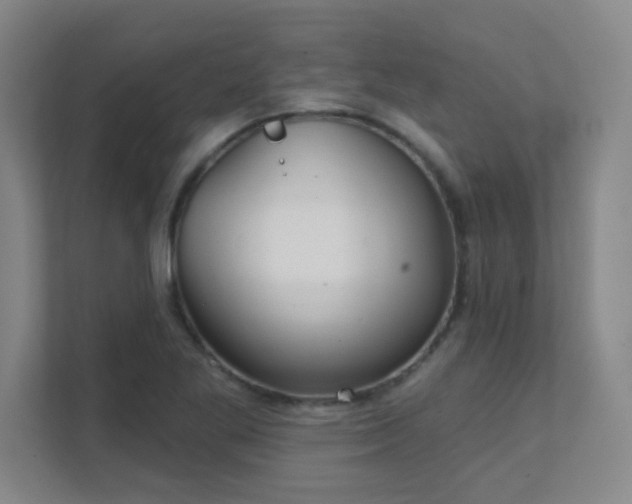 X0000112021269200908101355