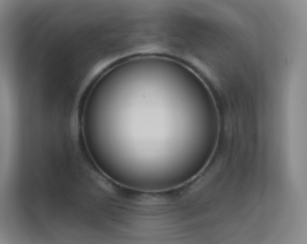 X0000112021270200908101355