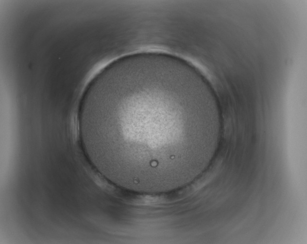 X0000112021271200908101355