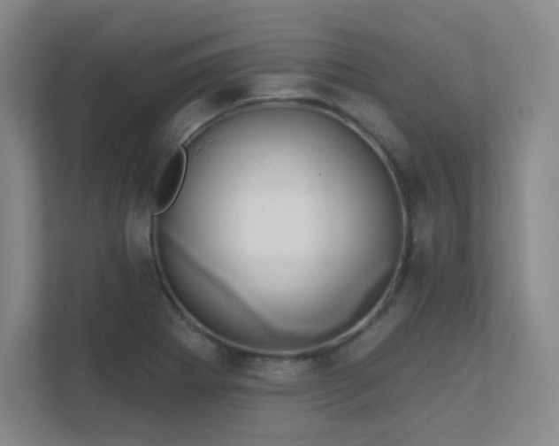 X0000112021273200908101355