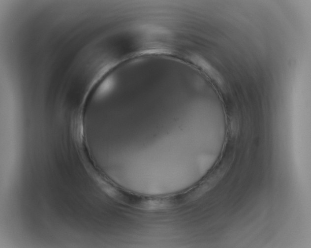 X0000112021274200908101355