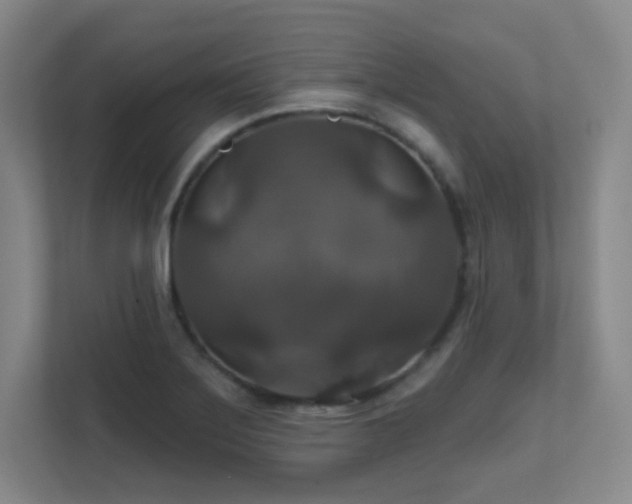 X0000112021275200908101355