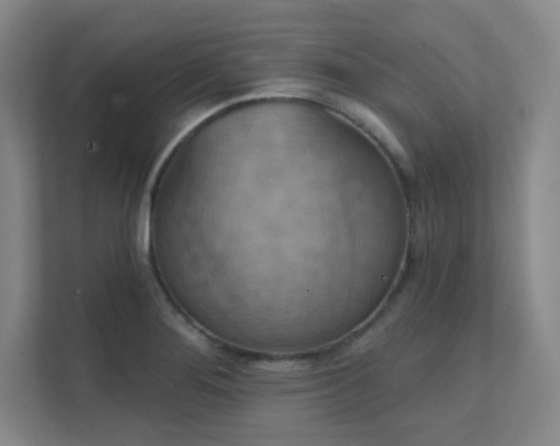 X0000112021276200908101355