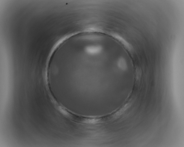 X0000112021278200908101354