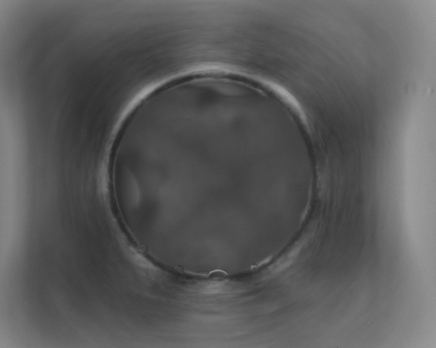 X0000112021279200908101354