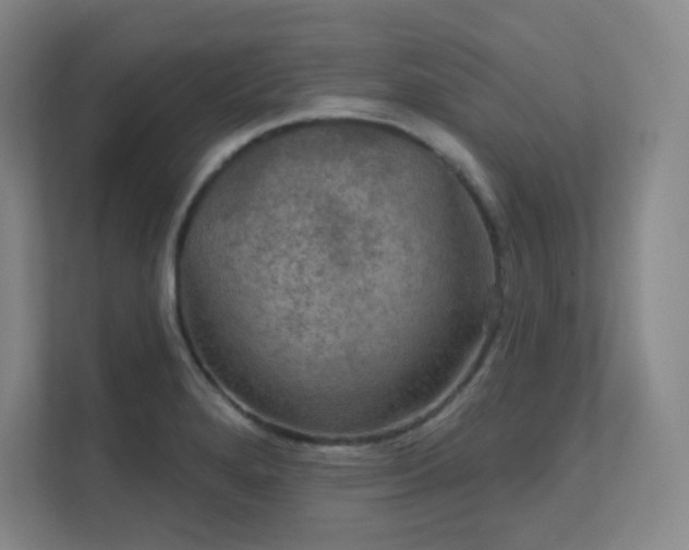 X0000112021280200908101354