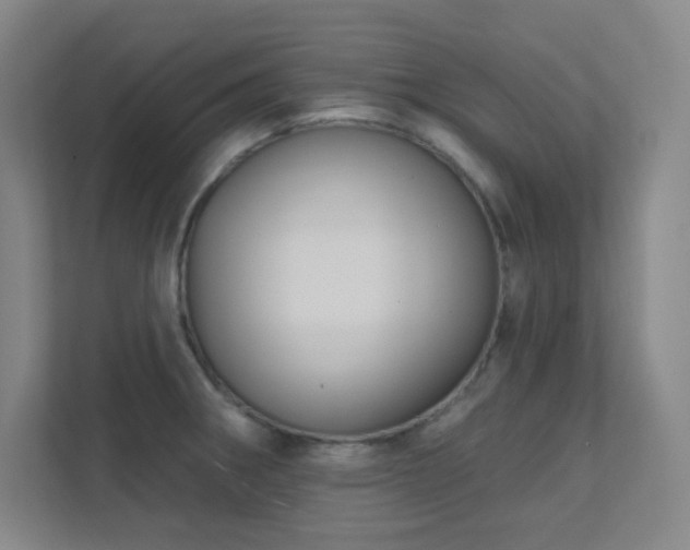 X0000112021282200908101354