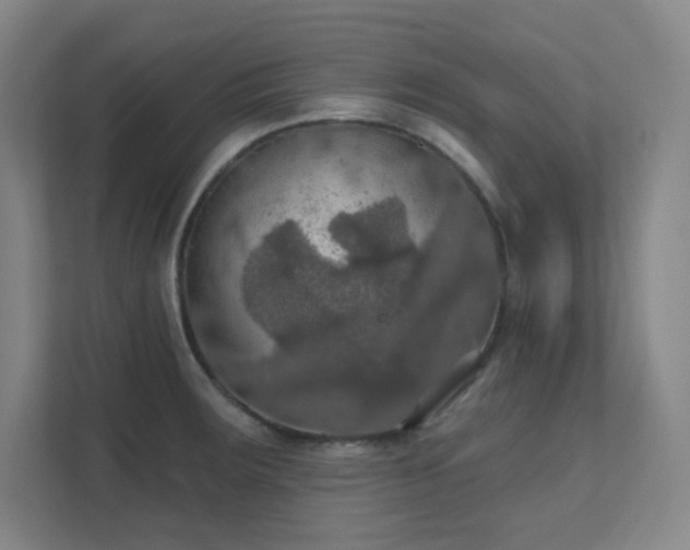 X0000112021283200908101354