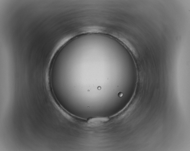 X0000112021285200908101354