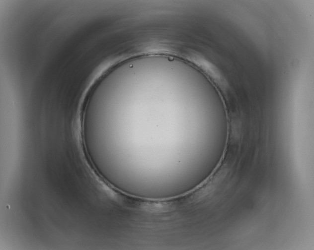 X0000112021286200908101354