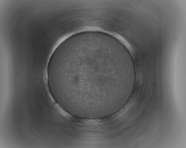 X0000112021287200908101354