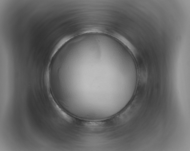 X0000112021290200908101354