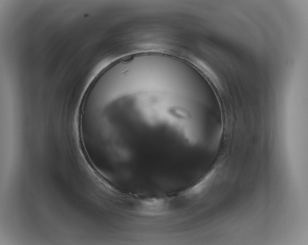 X0000112021291200908101354