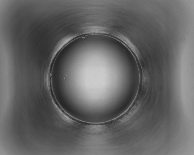 X0000112021293200908101354