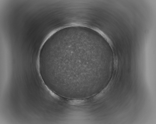 X0000112021294200908101354