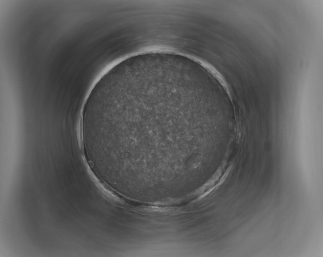 X0000112021295200908101354